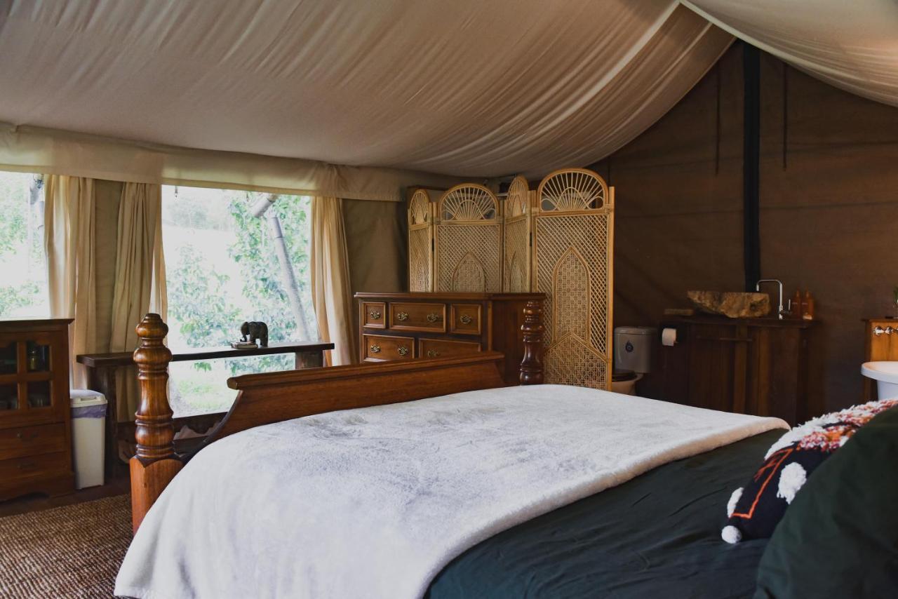 Silk Pavilions Glamping Mount Burrell Exterior photo