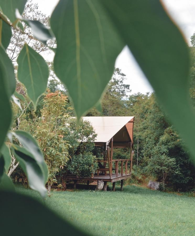 Silk Pavilions Glamping Mount Burrell Exterior photo