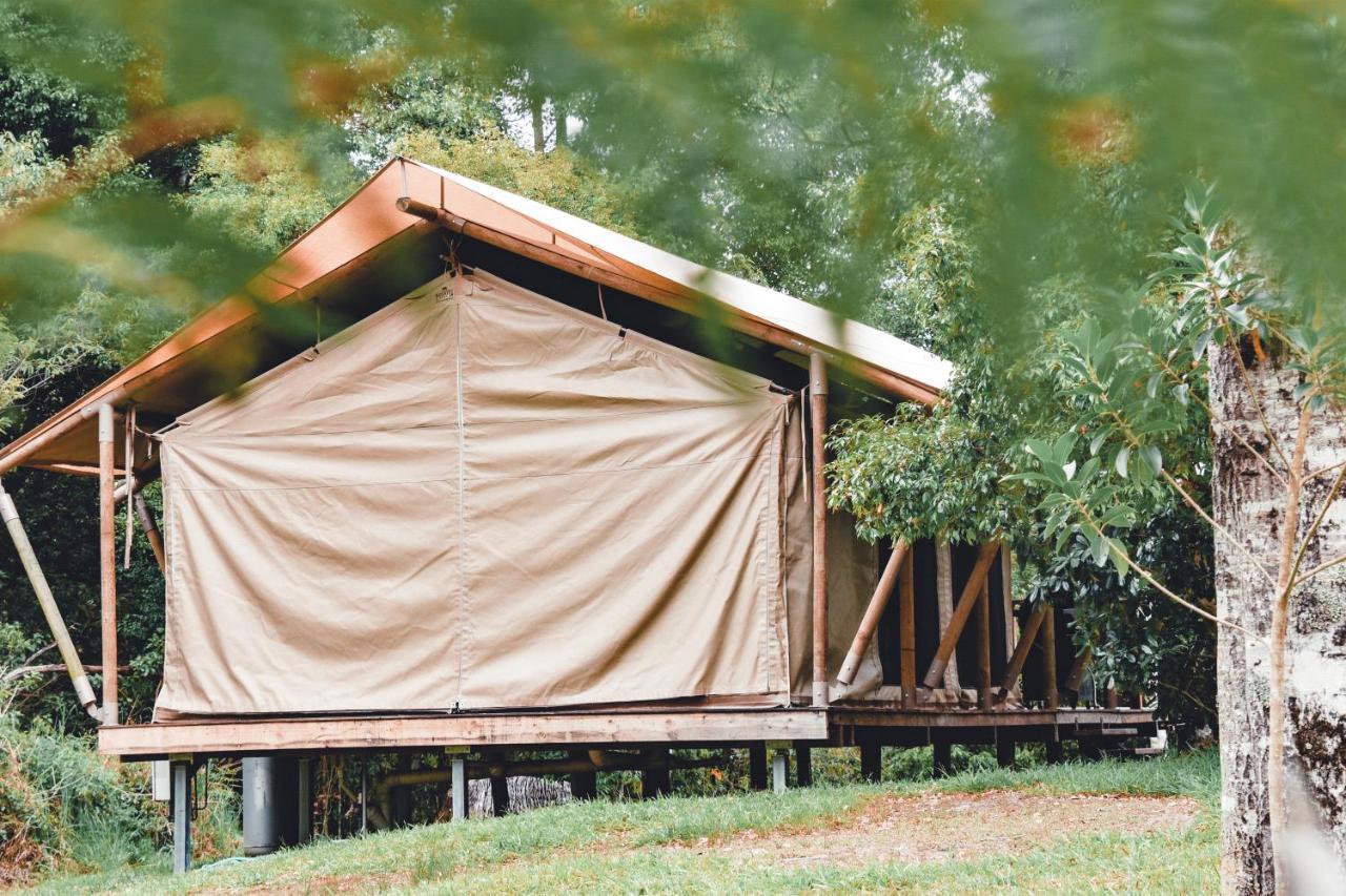 Silk Pavilions Glamping Mount Burrell Exterior photo