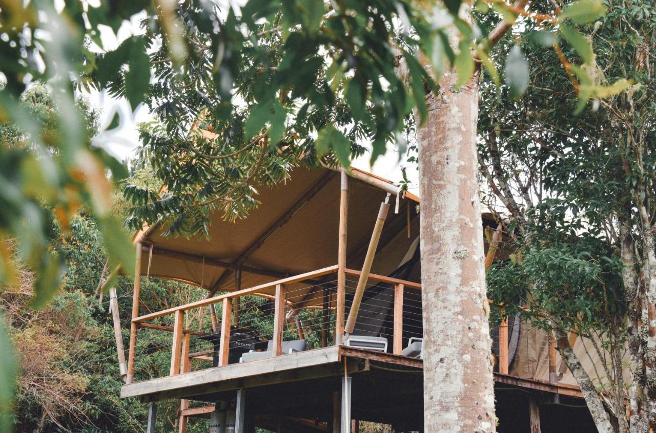 Silk Pavilions Glamping Mount Burrell Exterior photo